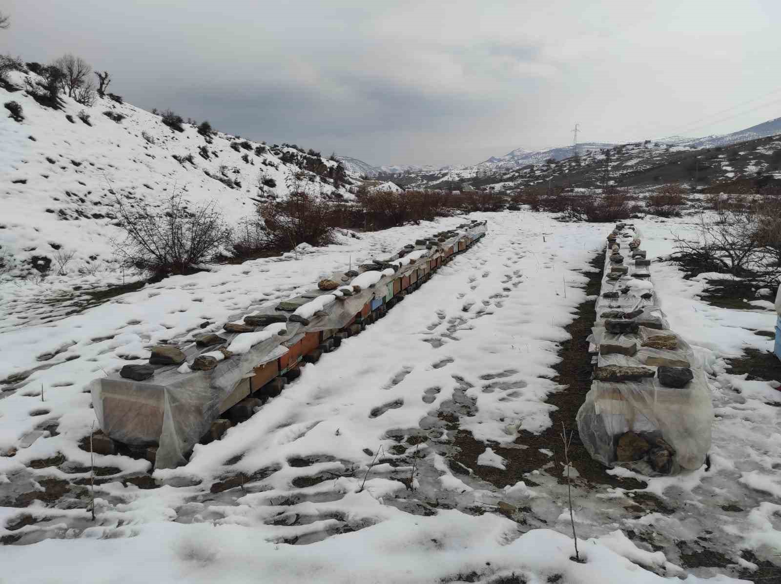 birincilik getiren arilarini kis sartlarinda ozenle koruyor 6 XemjhSaf