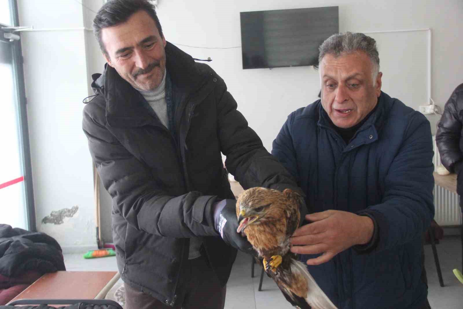 bitkin halde bulunan kizil sahin koruma altina alindi 1 jVmhDauj