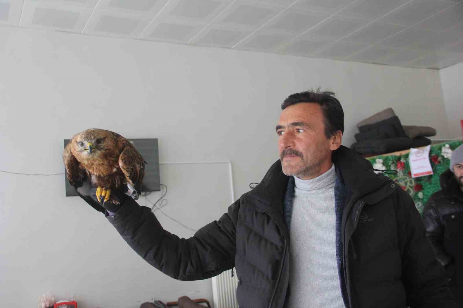 bitkin halde bulunan kizil sahin koruma altina alindi 2 drObkmGJ