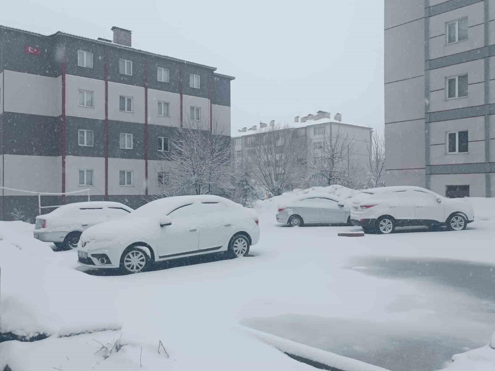 bitlis nisan ayinda yeniden beyaza burundu 0 JAJezYmA