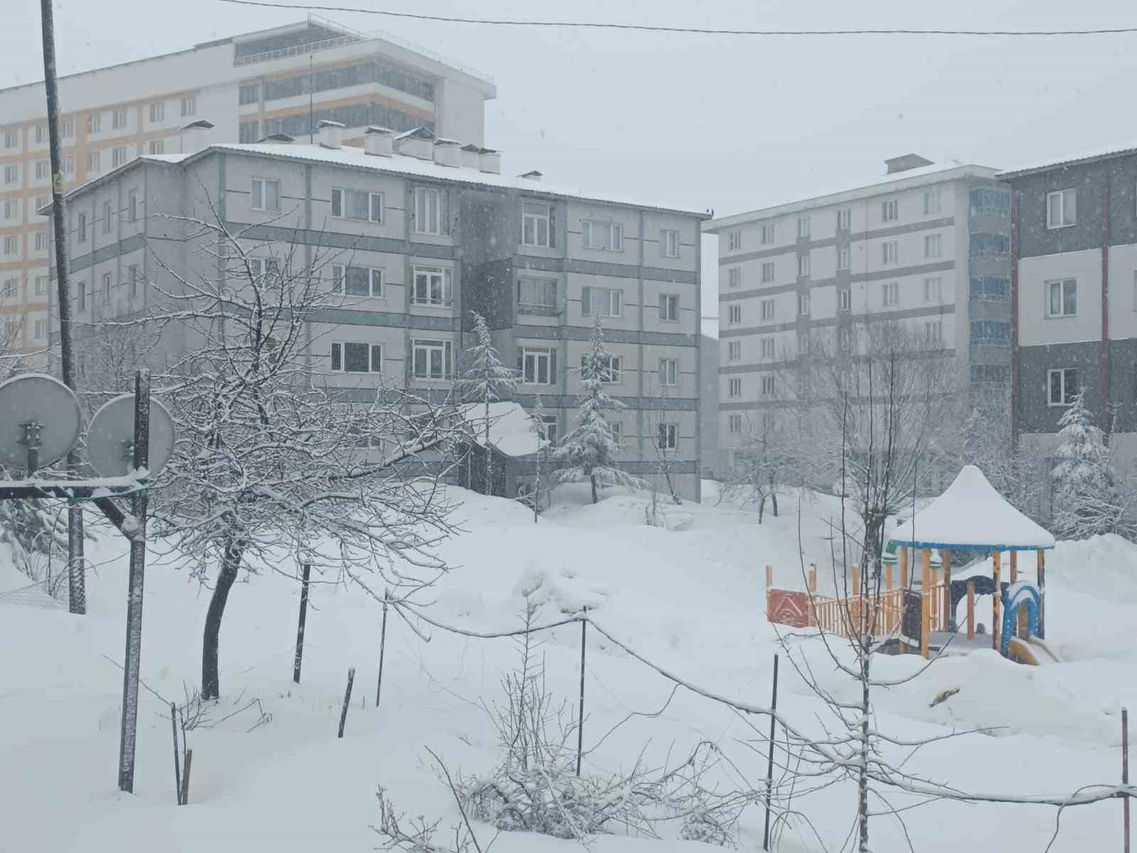 bitlis nisan ayinda yeniden beyaza burundu 1 PkyIzcTc