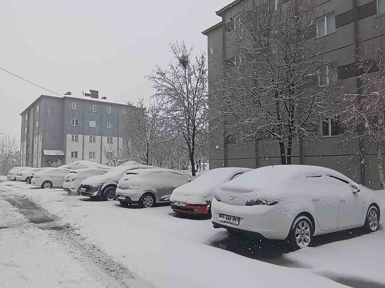 bitlis nisan ayinda yeniden beyaza burundu 3 f1RsPTjp
