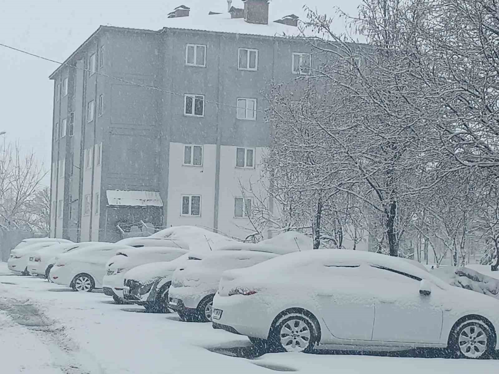 bitlis nisan ayinda yeniden beyaza burundu 4 jHk3atgk