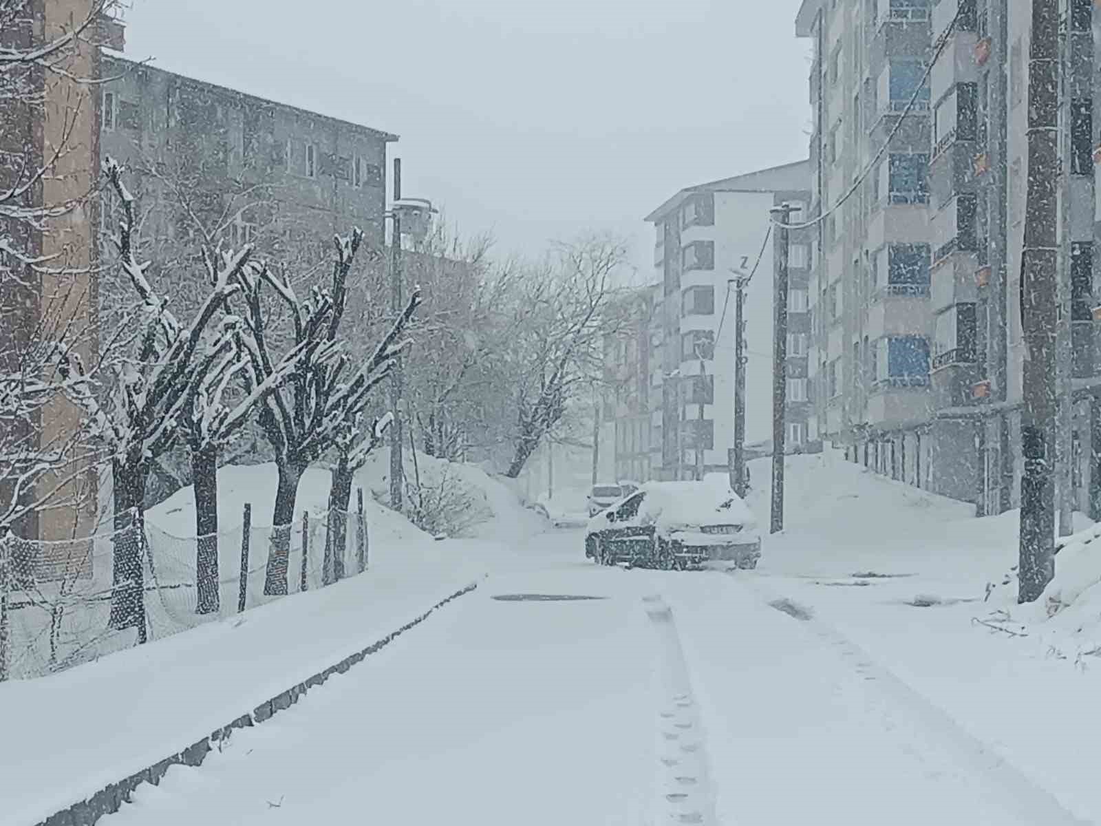 bitlis nisan ayinda yeniden beyaza burundu 5 XNlwHXKh