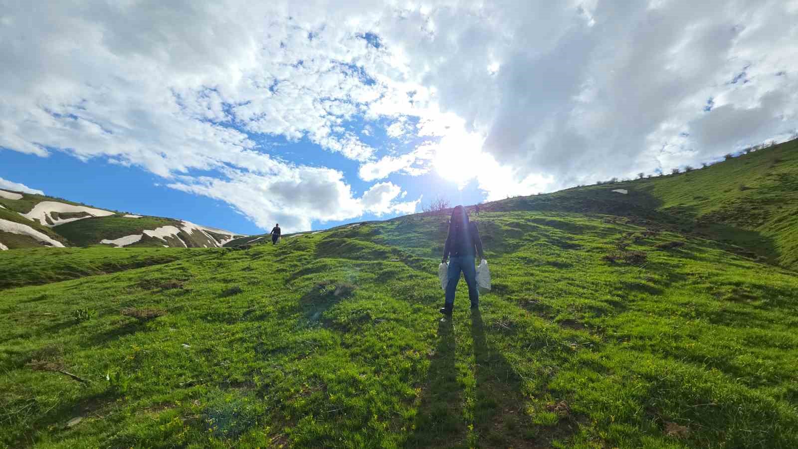 bitlis yaylalarinda ciris otu mesaisi devam ediyor 1
