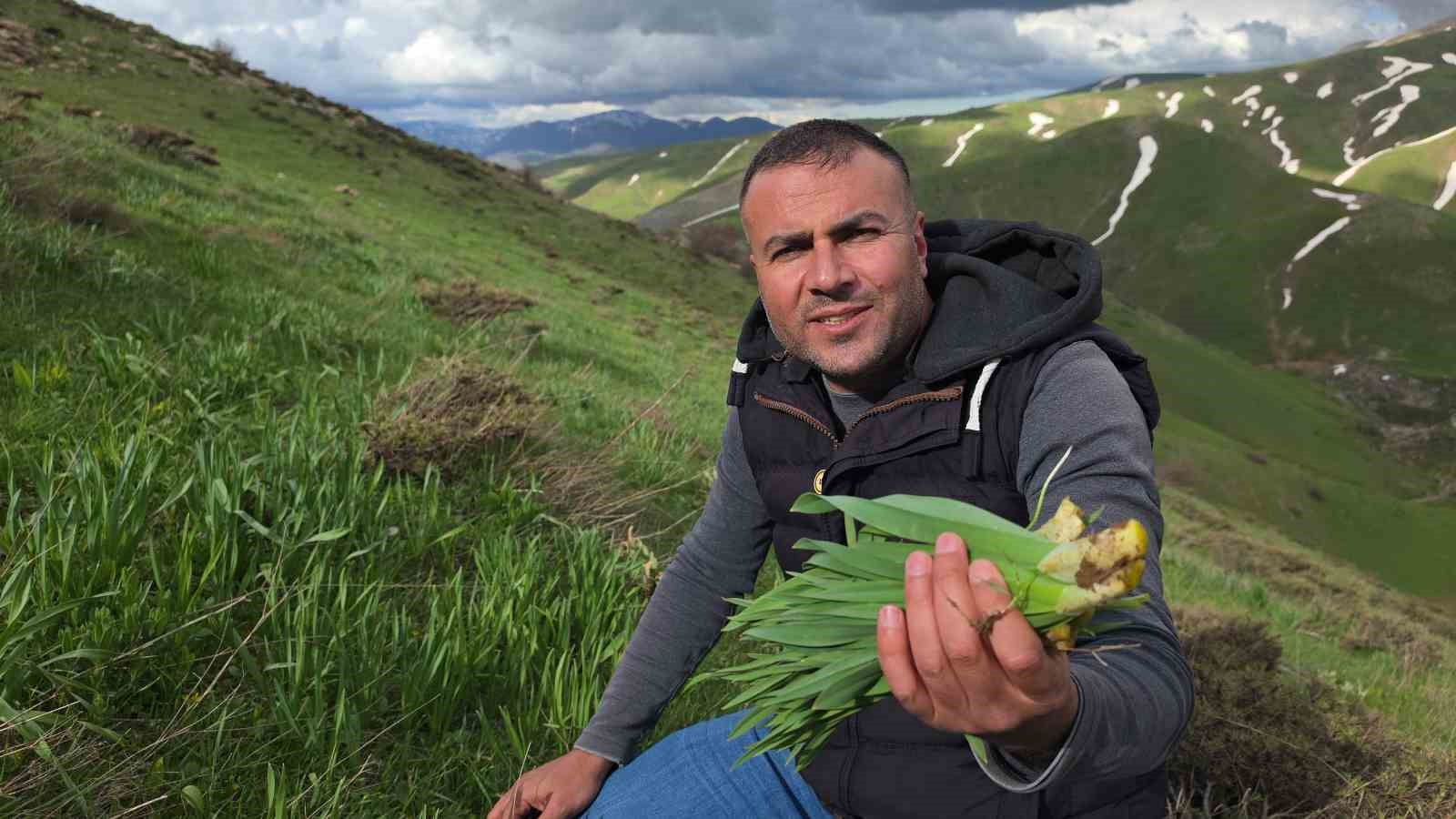 bitlis yaylalarinda ciris otu mesaisi devam ediyor 2 GTyBuwH8