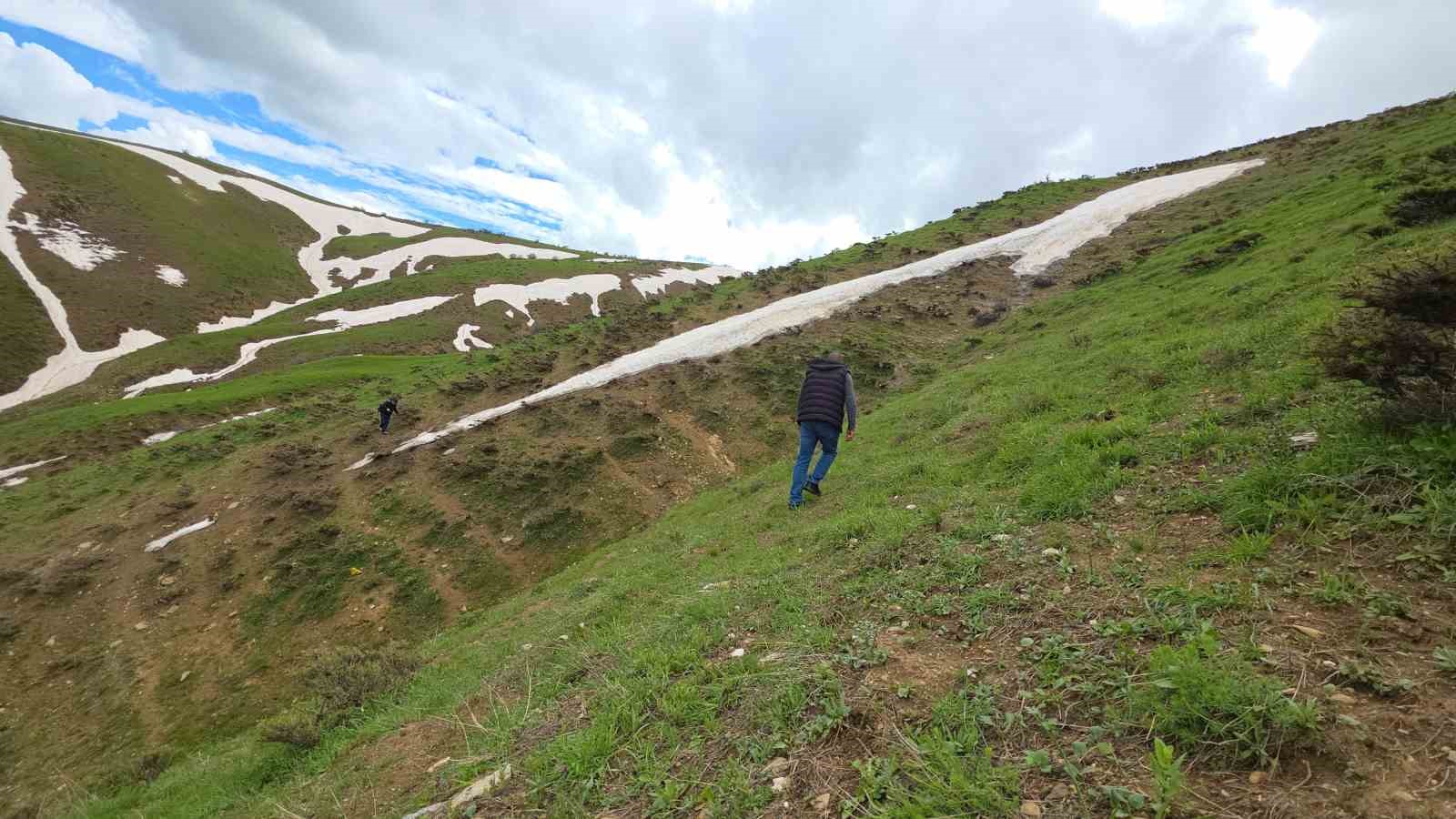 bitlis yaylalarinda ciris otu mesaisi devam ediyor 5 hlcRbR4a