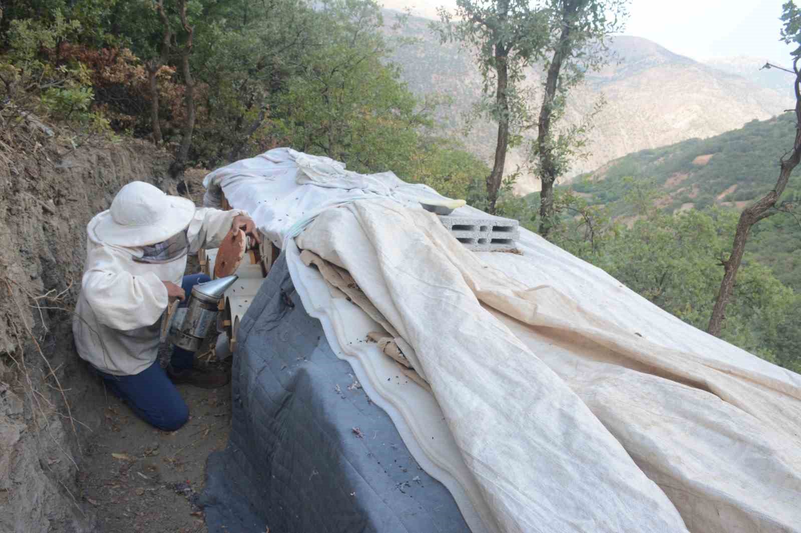 Bitlis’in ödüllü Hizan karakovan balı, NATO Zirvesi menüsünde 4 bitlisin odullu hizan karakovan bali nato zirvesi menusunde 0 YiCZDzVb