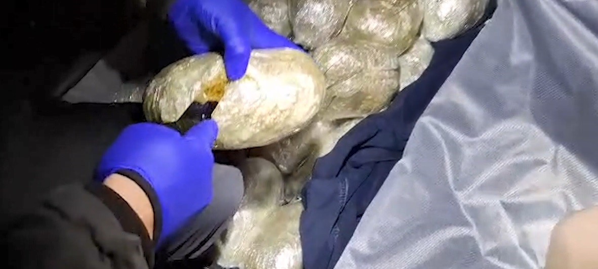 bitliste 4 kilo 800 gram skunk ele gecirildi 0 CbFGFjSP