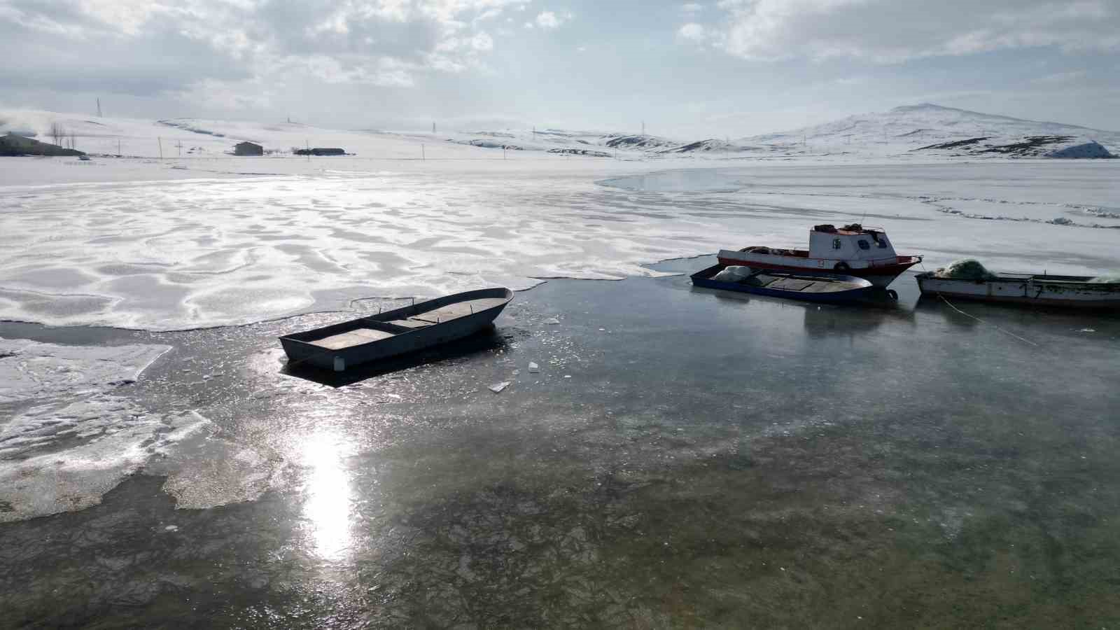 bitliste donan goller erken isinmayla cozulmeye basladi 4 uLkpENMY