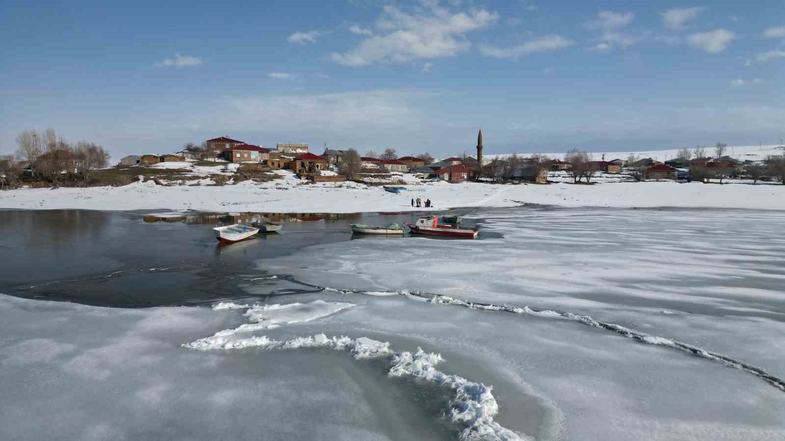 bitliste donan goller erken isinmayla cozulmeye basladi 8 dL97KYUe