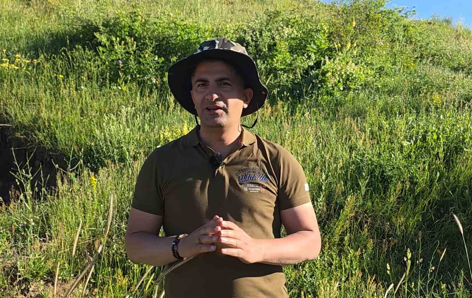 bitliste gun batimi kuslarin muhtesem dansina sahne oldu 0 XWFvtya2