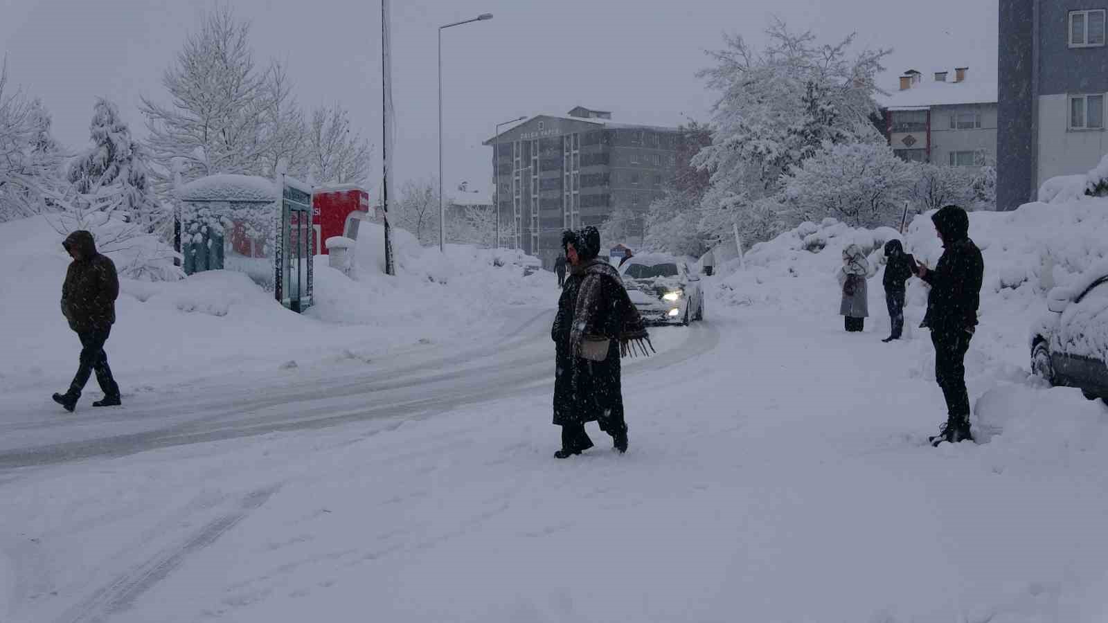 bitliste kar yagisi 62 koy yolu ulasima kapandi 1 lJ3tRLcz