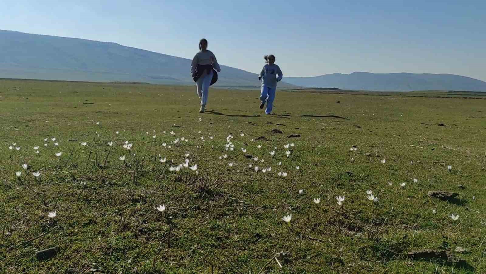 bitliste kardelen ve cigdemler acti 1 ssjRyDYp