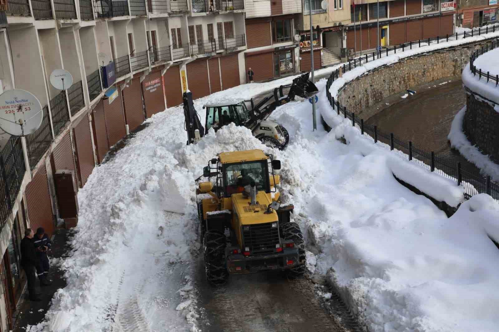 bitliste karla mucadele calismalari araliksiz surduruyor 4 JHbUVv8V