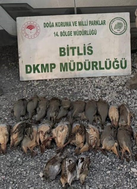 bitliste kota asimi yapan 5 avciya 63 bin 680 lira ceza 1 nPQSWBQq