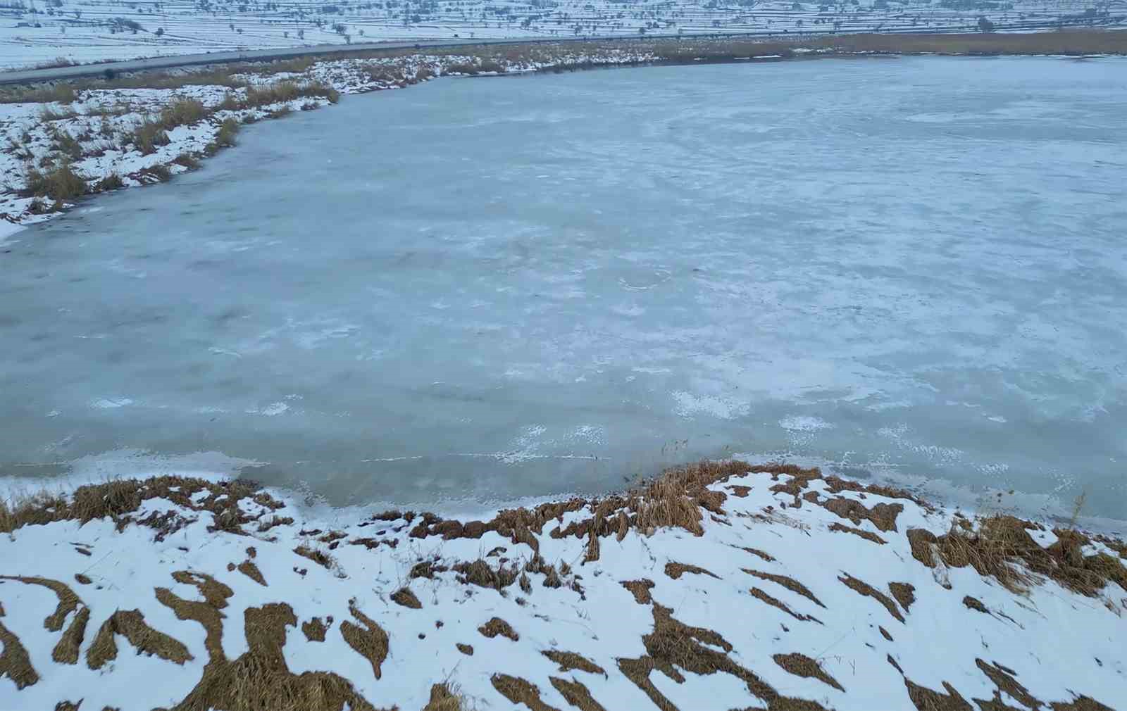 bitliste sazliklar dondu kuslar golde toplandi 3 SNRVgMg1