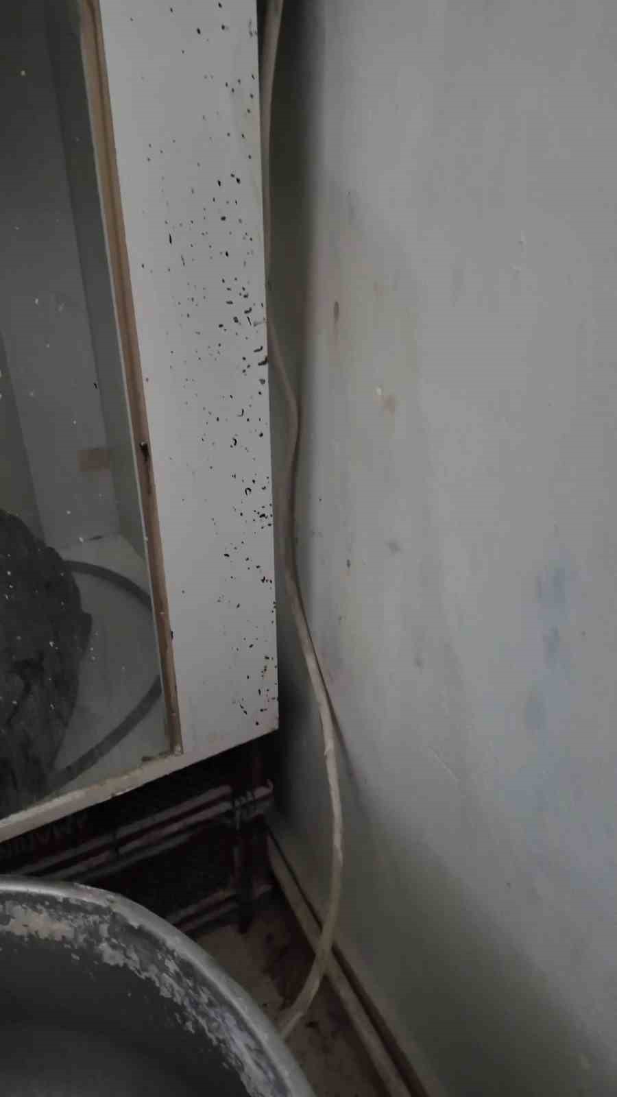 boceklerin ve sigara izmaritlerinin yerlerde gezdigi firinda mide bulandiran goruntuler ortaya cikti 2 kfMLEnN6