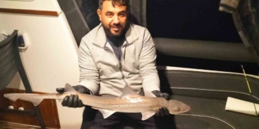 bodrum-aciklarinda-oltaya-kopek-baligi-takildi-uujcI8Ik.jpg