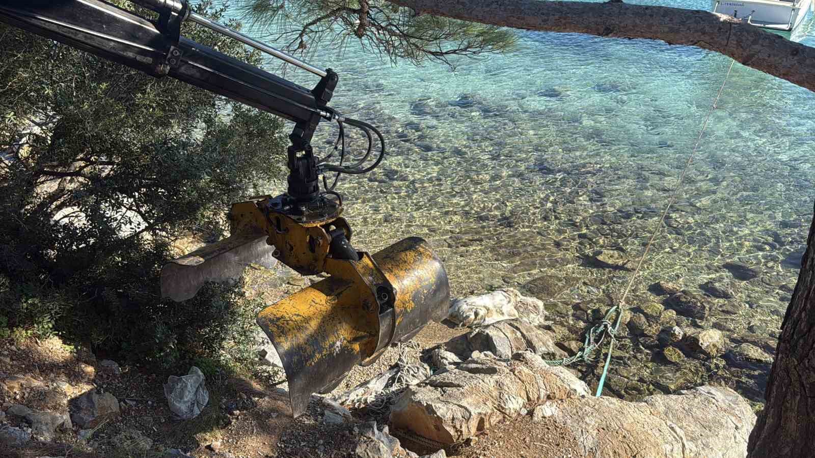 Bodrum sahiline vuran caretta caretta vinçle kaldırıldı 5 bodrum sahiline vuran caretta caretta vincle kaldirildi 1 sZKsdAAs