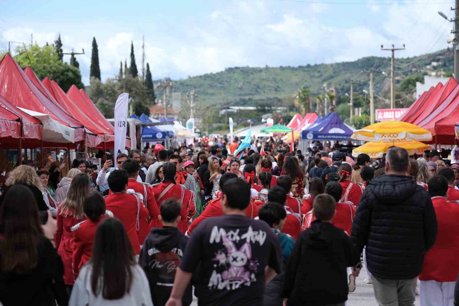bodrumda aci ot festivaline insan seli 0 vb8iYGct