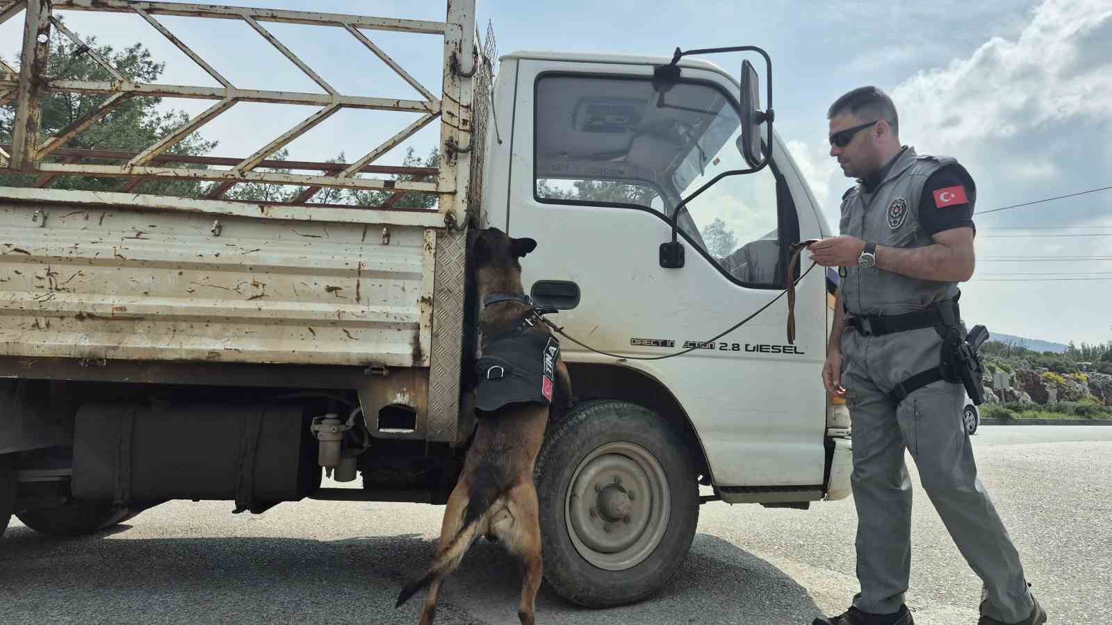 bodrumda bayram denetimleri siki 1 gunde 25 bin arac girdi 2