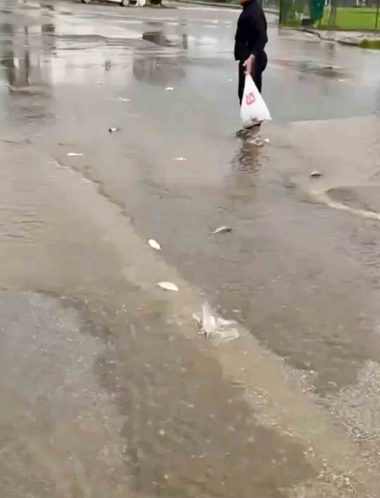 bodrumda saganak baskini golet tasti asfalta balik yagdi 1 qts1QaVi