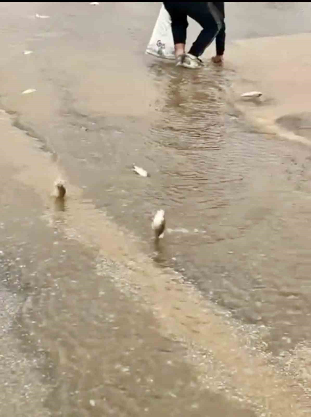 bodrumda saganak baskini golet tasti asfalta balik yagdi 2