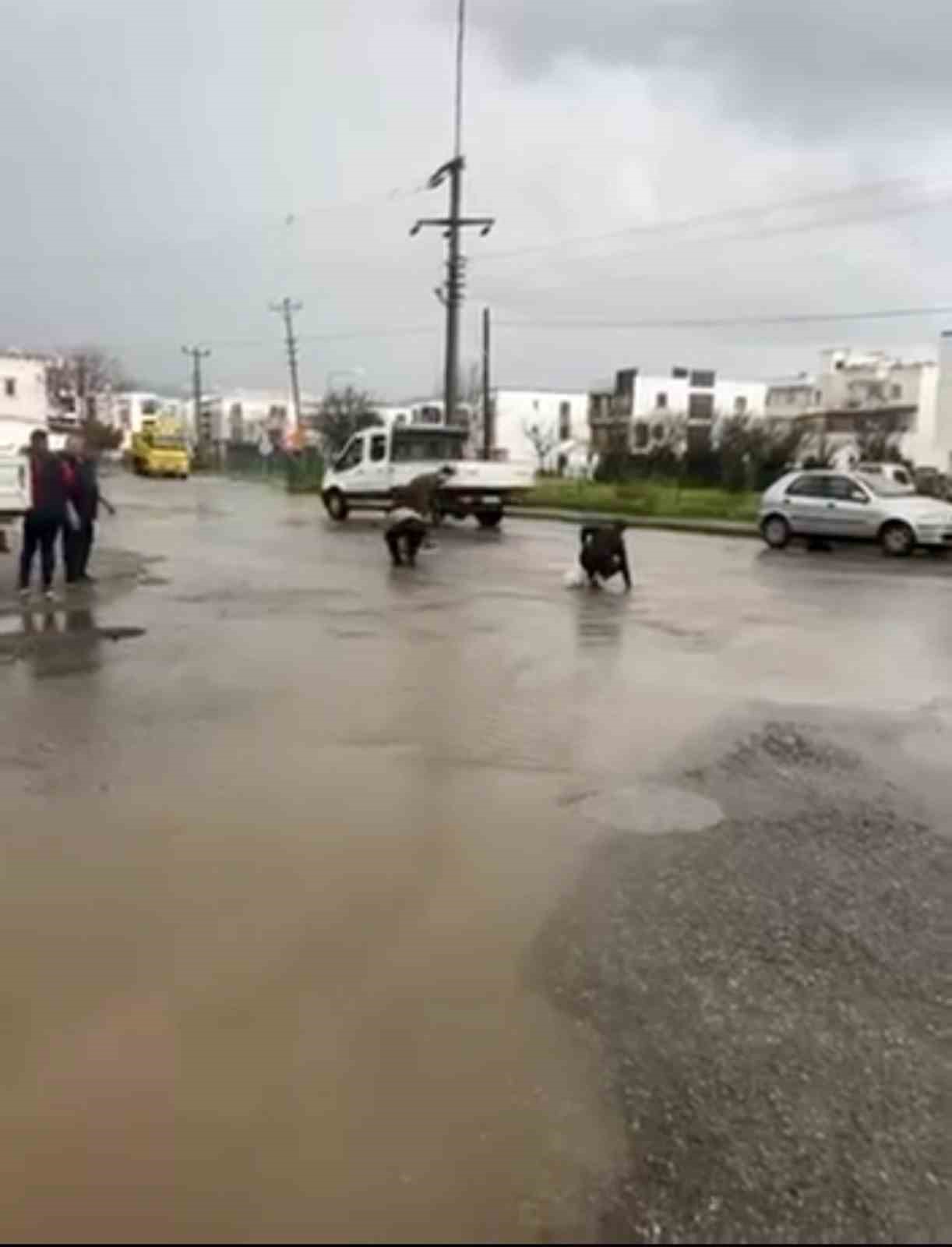 bodrumda saganak baskini golet tasti asfalta balik yagdi 3 7km5j9PY