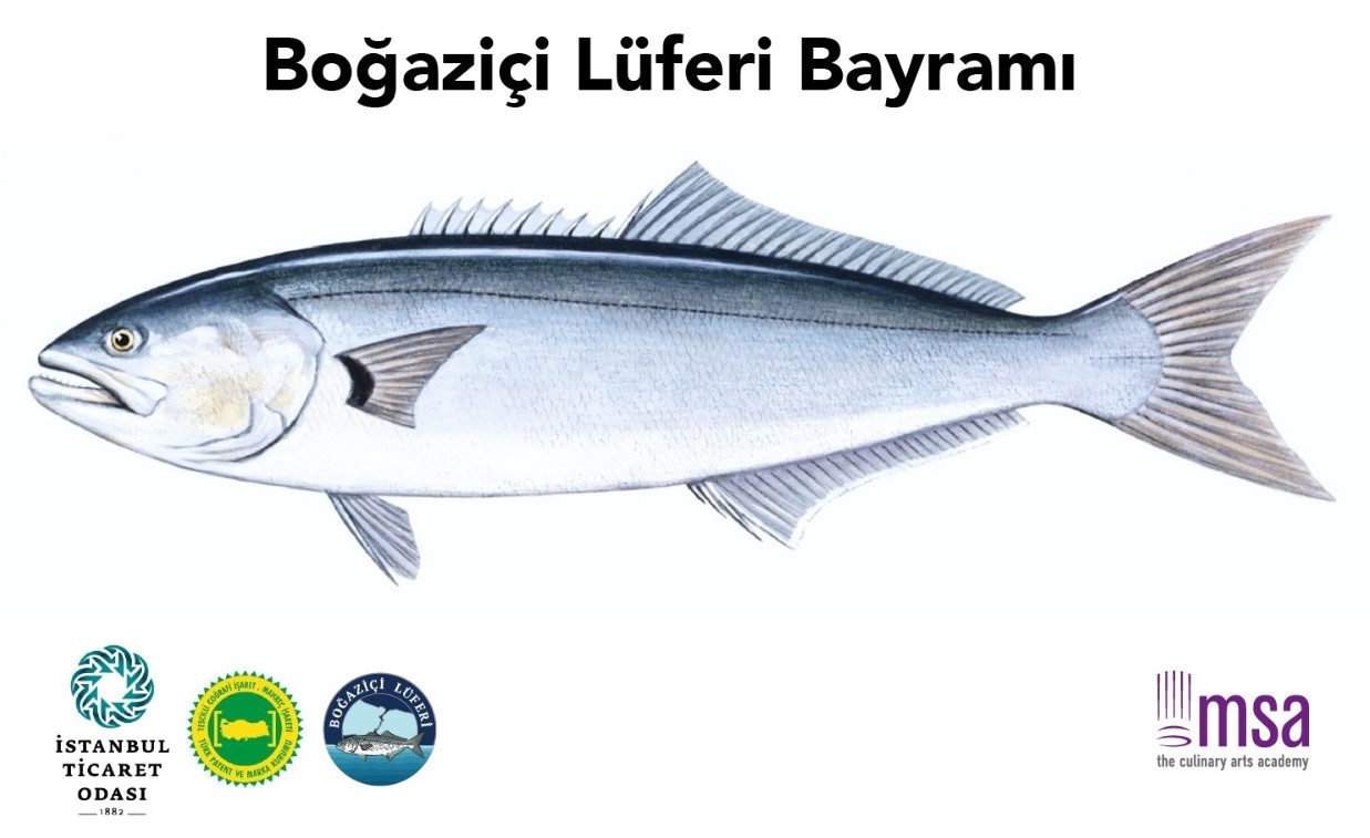 bogazici luferi bayrami geliyor 3 lLV5uaci