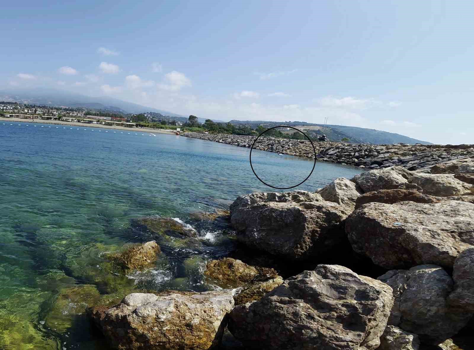 bogulma tehlikei geciren cocugu balik tutan vatandas kurtardi 1 KOcBnsQg