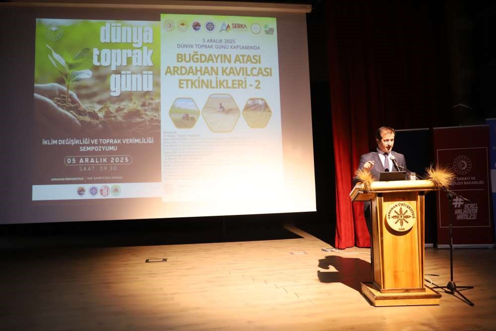 bolgenin degeri ardahan kavilcasi 8 O5vAV4JG