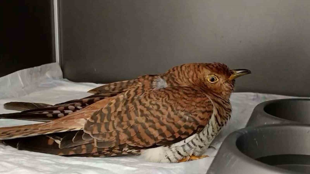 featured