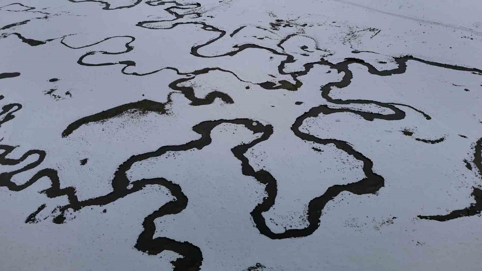boluda 14 koyun yaylasinda mendereslerin goruntusu mest etti 1 tDlfhDed