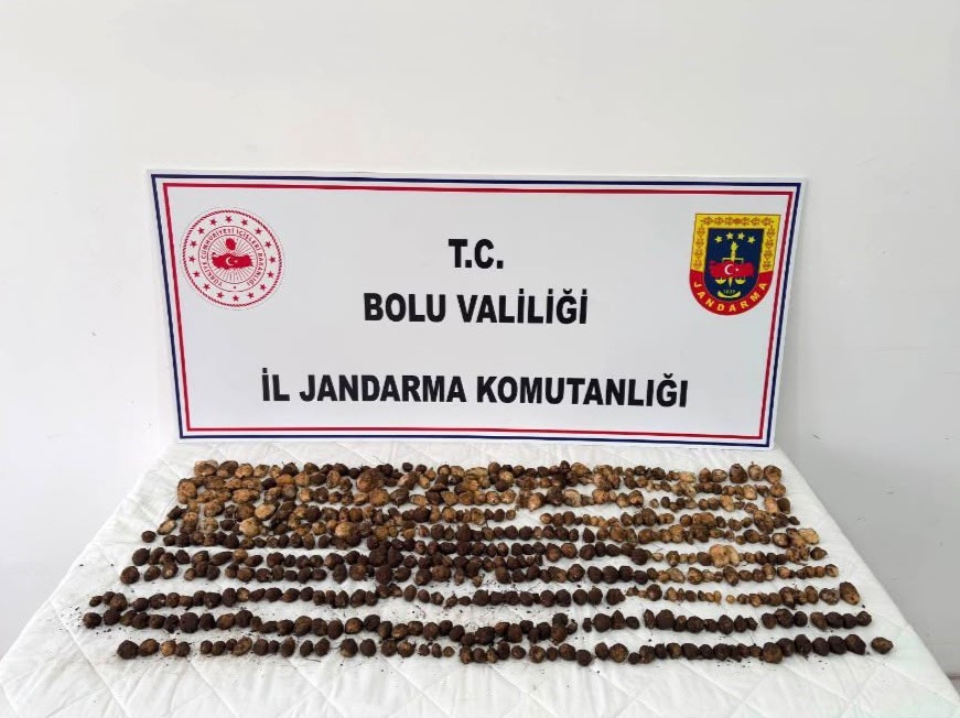 boluda 2 milyon liralik salep cezasina isyan edip catiya cikti 5 cPS2AgdP