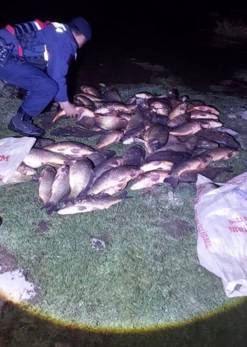 Bolu’da 350 kilo sazan kurtarıldı 5 boluda 350 kilo sazan kurtarildi 1 l4Mn9w5t