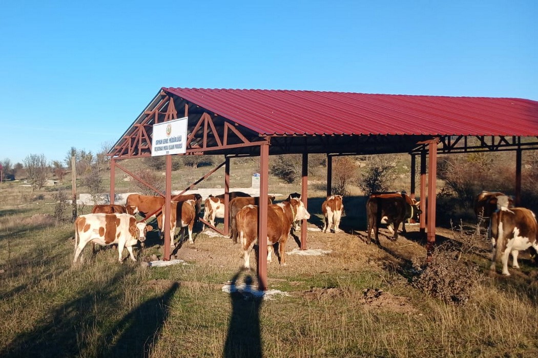 boluda 44 kadina 2 milyon liralik hibe destekli kredi 1 t6y4vMvS