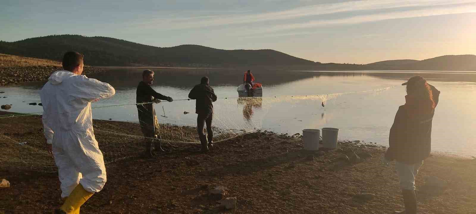 boluda 5 kilometrelik hayalet ag toplandi 500 balik canli kurtarildi 2 2WQv2C1k