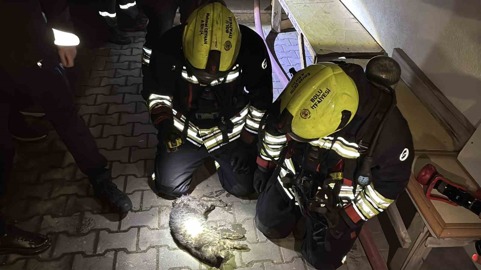 boluda apartman dairesinde korkutan yangin evin kedisi telef oldu 0 mgrHspAS