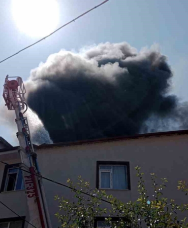 boluda-apartmanin-cati-kati-alev-alev-yandi-1uAy7OGT.jpg