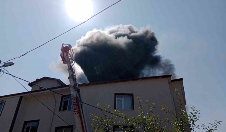 boluda-apartmanin-cati-kati-alev-alev-yandi-1uAy7OGT.jpg