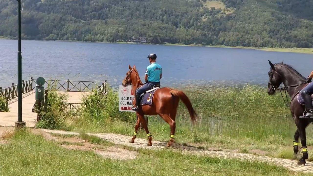 Bolu’da atlı jandarma timleri görev başında 5 boluda atli jandarma timleri gorev basinda 1 WPpeM9Ne