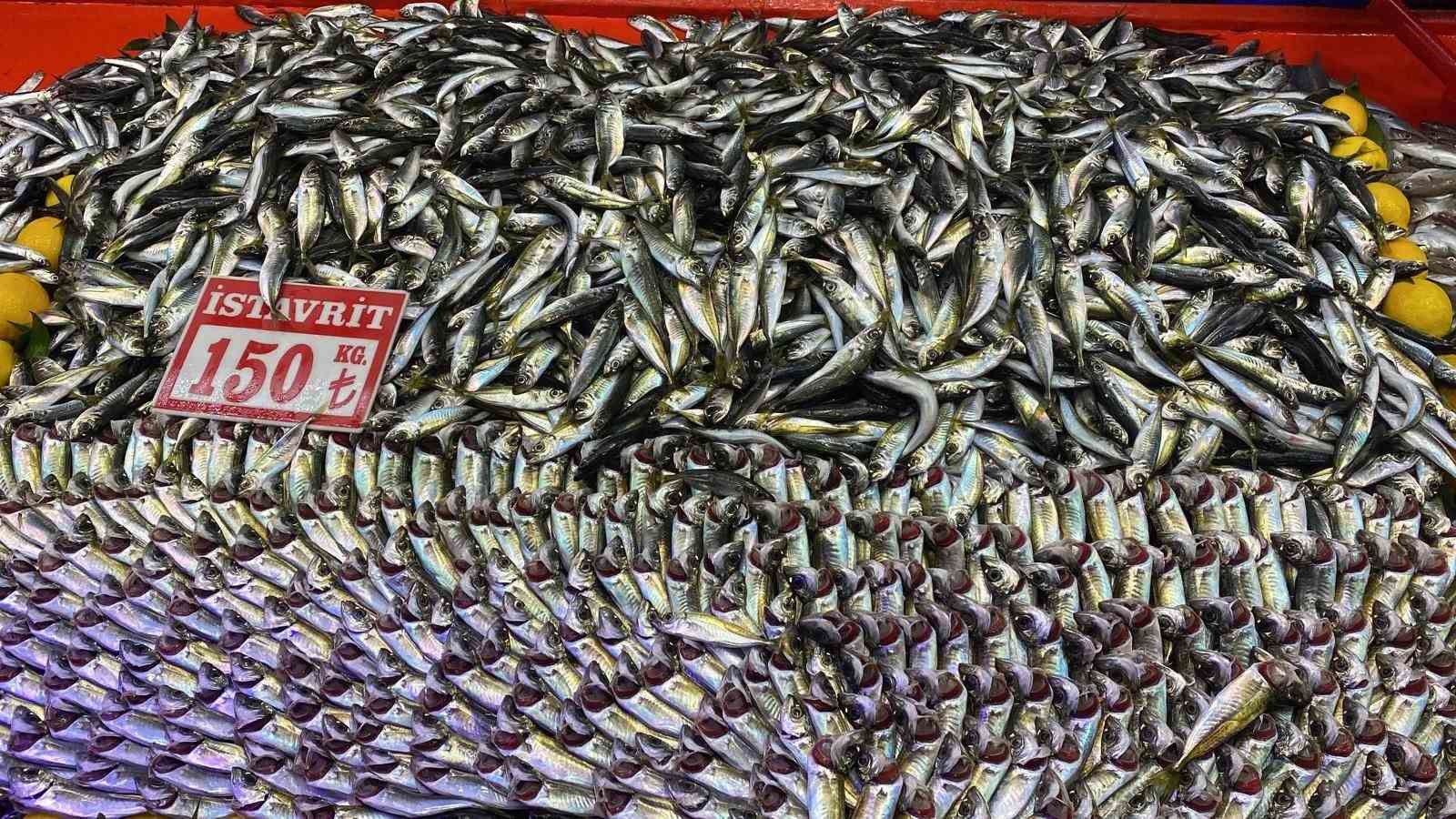 boluda balik tezgahlarinda hamsi bollugu 3 rjviiqSW