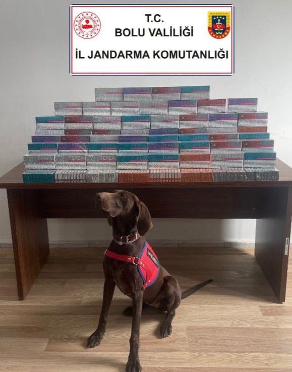 boluda binlerce elektronik sigara kiti ele gecirildi 0 pLHTOeEi