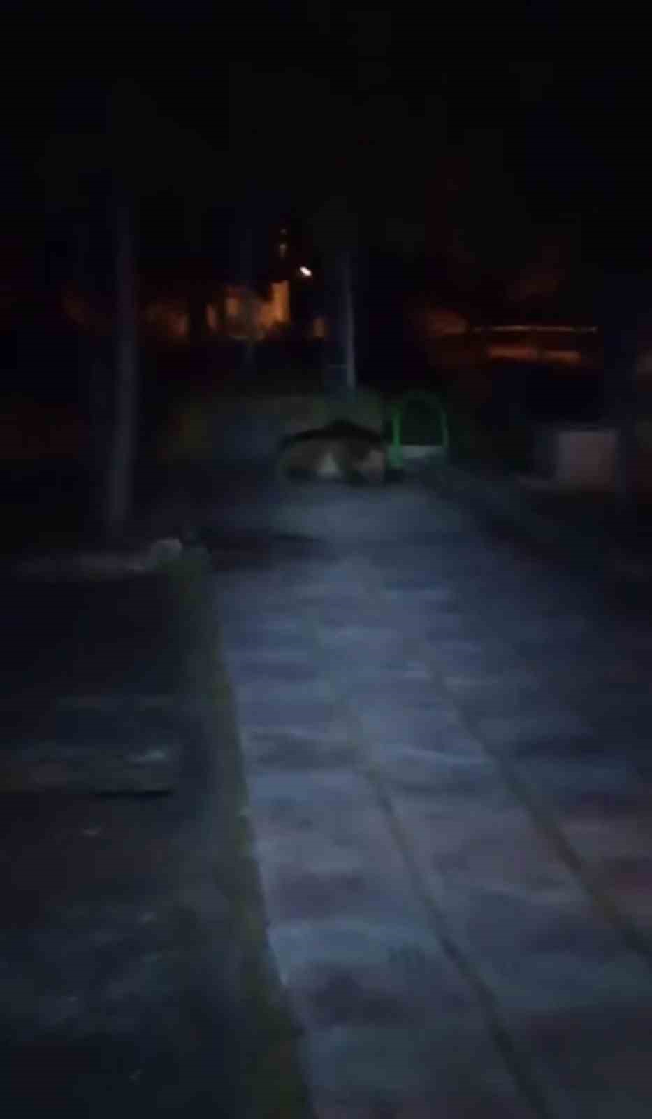 Bolu’da çocuk parkına ayı girdi 4 boluda cocuk parkina ayi girdi 0 Gj2uSLXO