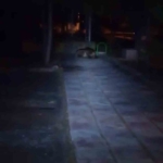 boluda-cocuk-parkina-ayi-girdi-EXPp5e7h.jpg