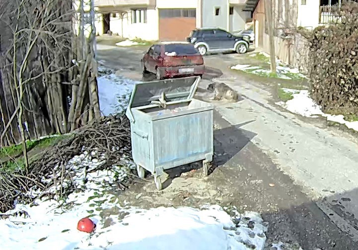 boluda ezilen kopegin rontgeninden 400 sacma cikti 0 87wVegbI