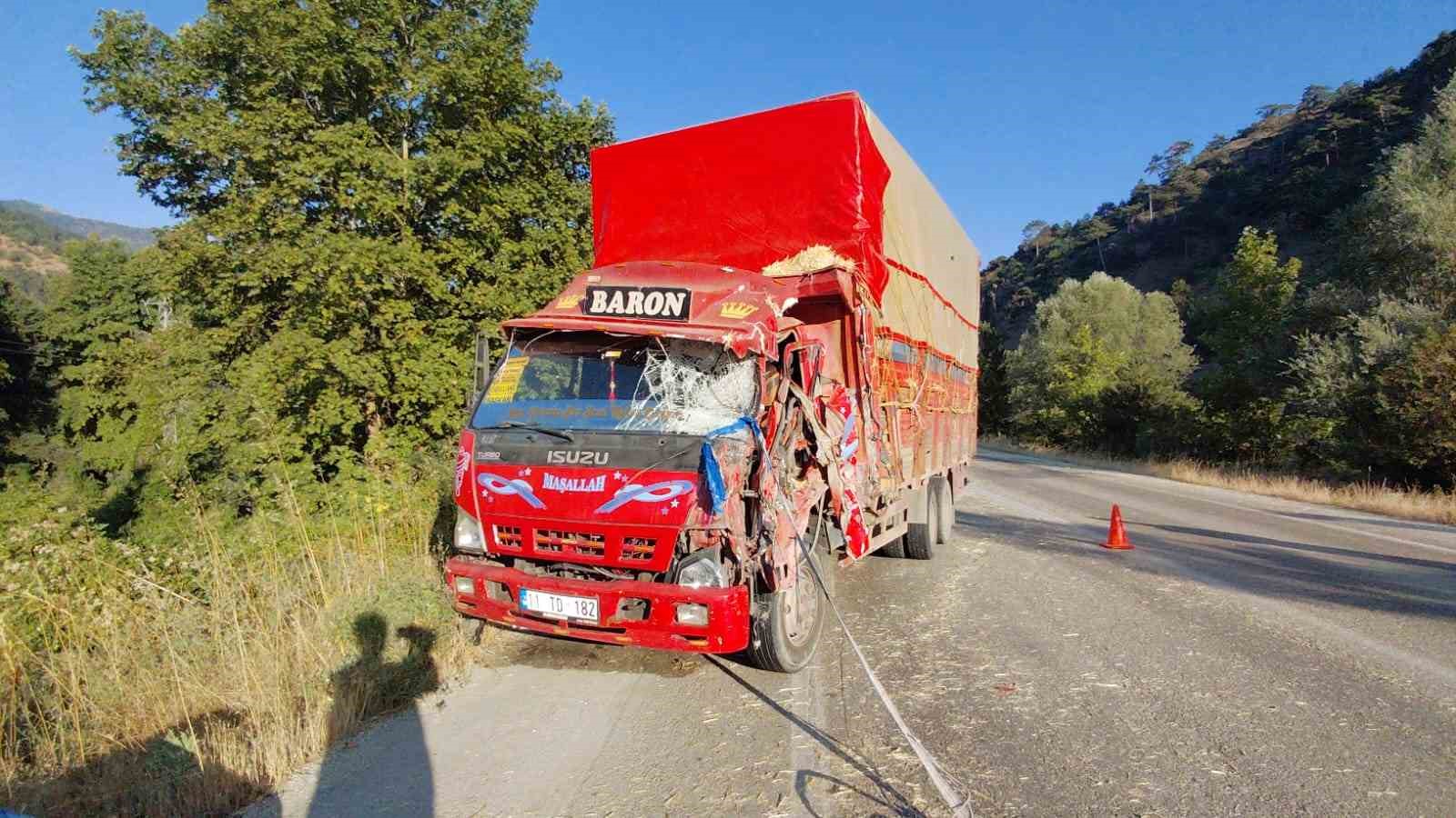 Bolu’da iki kamyon kafa kafaya çarpıştı: Samanlar yola saçıldı, 2 yaralı 8 boluda iki kamyon kafa kafaya carpisti samanlar yola sacildi 2 yarali 4 bHGkEbAn