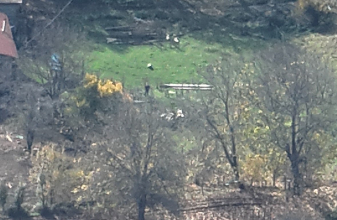 boluda kayip hayvanlar dronla bulundu 1 ONEJjcE1