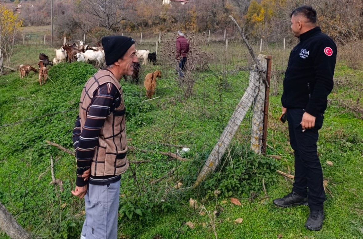 boluda kayip hayvanlar dronla bulundu 4